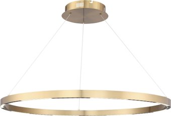 Подвесная люстра ST Luce SL6238.343.01