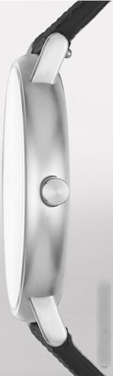 Наручные часы Skagen SKW6356