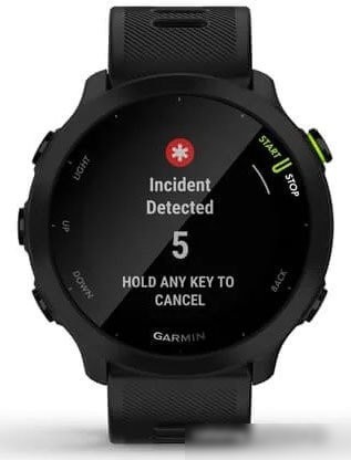 Умные часы Garmin Forerunner 55 (черный)