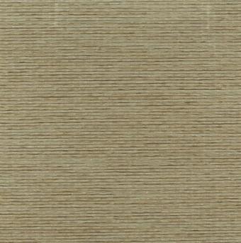 Рулонные шторы Lm Decor Камелия LM 49-02 48x160