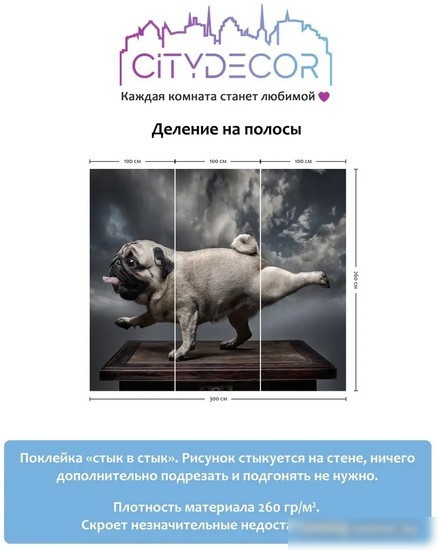 Фотообои Citydecor Животные и Птицы 13 300x260
