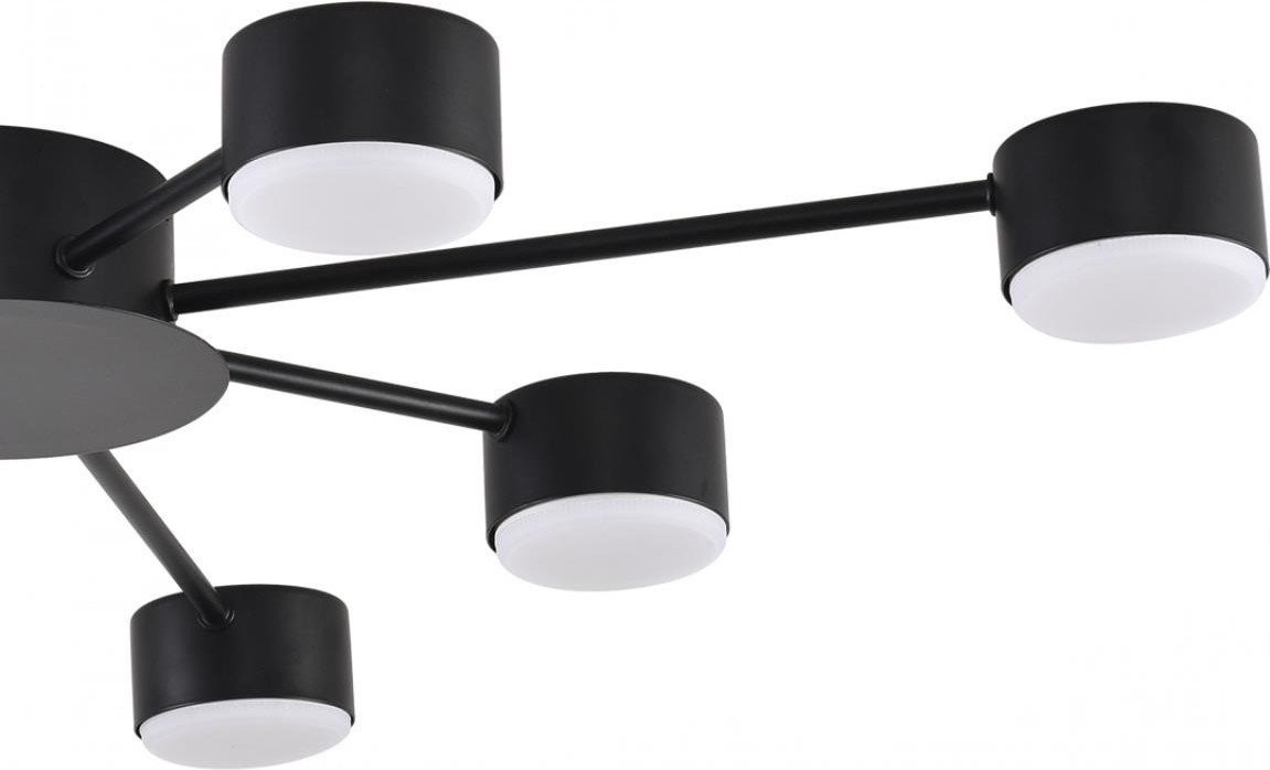 Припотолочная люстра Lumion Torina 8344/8C