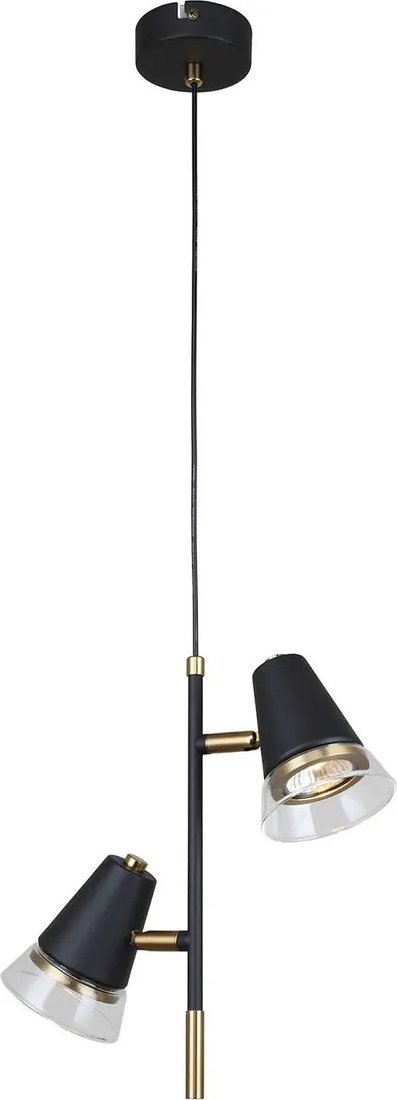 Подвесная люстра F-Promo Trandy 4618-2P