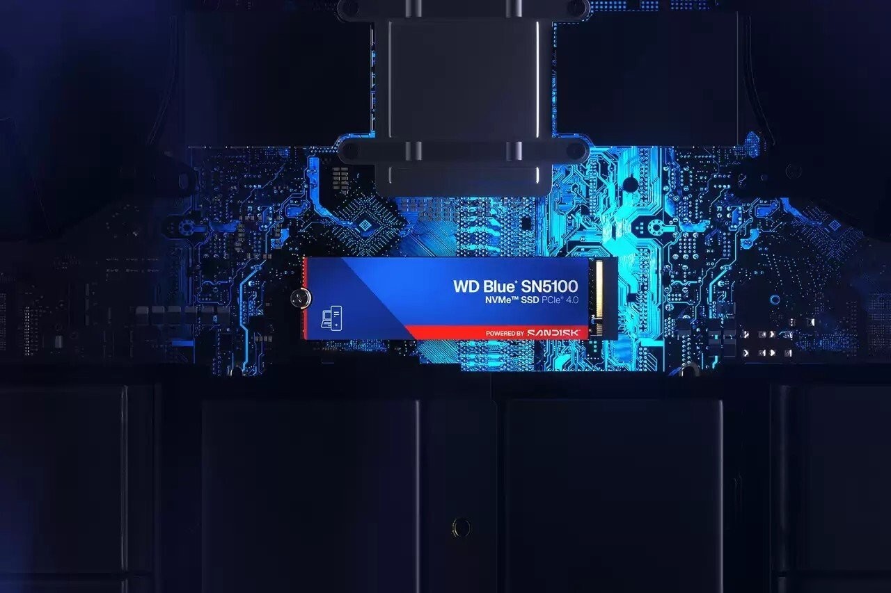 SSD WD Blue SN5100 500GB WDS500G5B0E