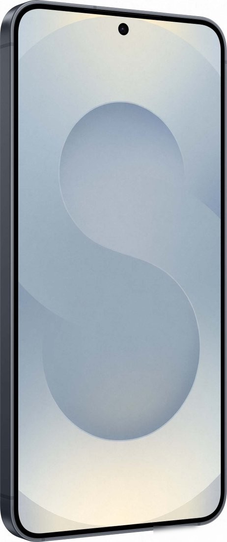 Телефон Samsung Galaxy S25 SM-S931B 12GB/512GB (сине-черный)