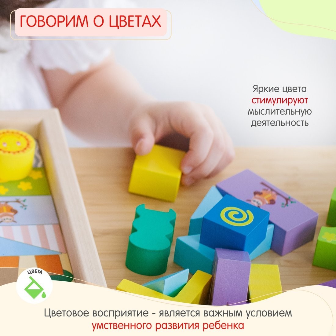 Развивающая игра Alatoys Волшебный лес К3035