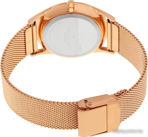 Наручные часы Skagen SKW2378