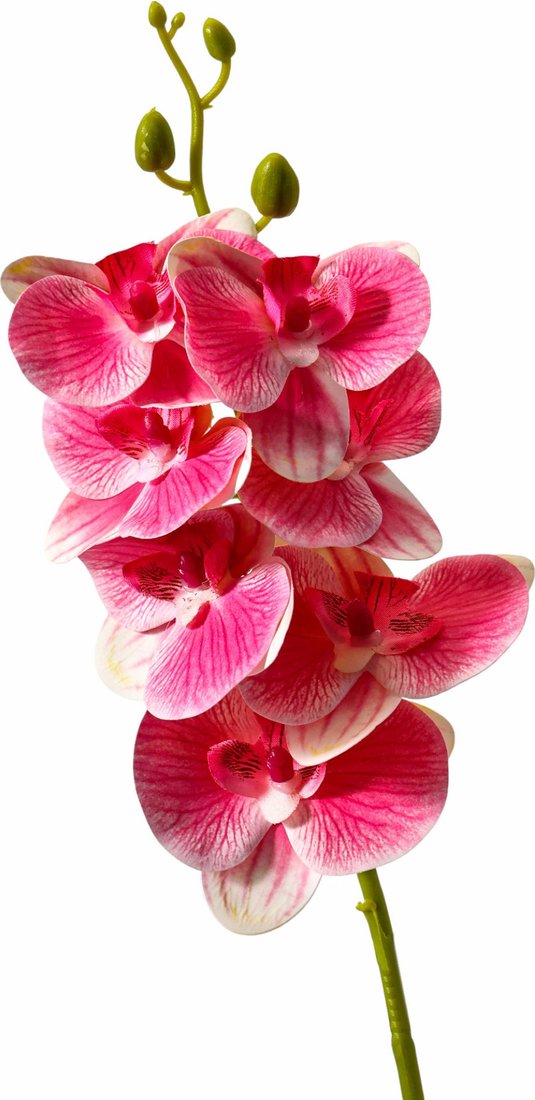 Искусственный цветок Poetry in flowers Орхидея экстра галант 10084664