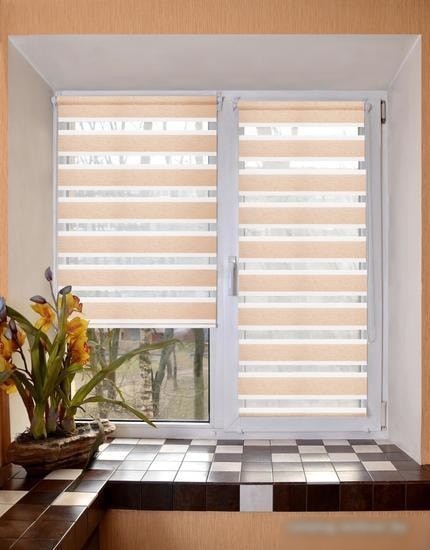 Мини рулонные шторы Lm Decor Грация ДН LB 10-11 48x160