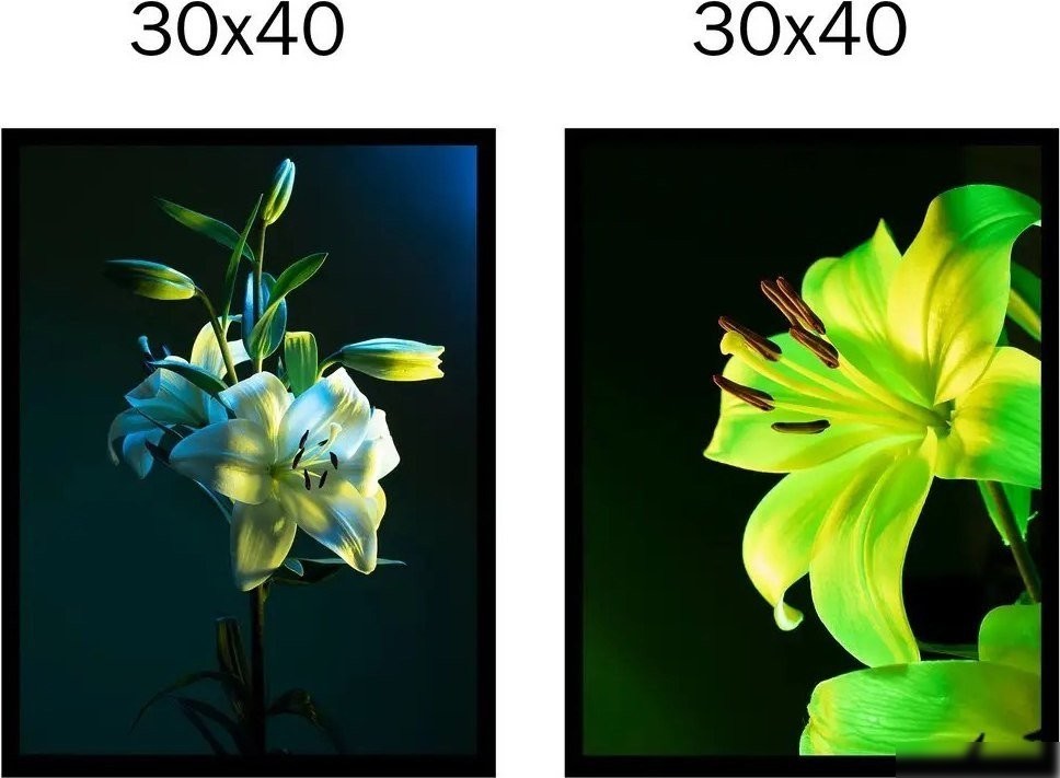 Постер Citydecor Цветы 16 30x40 см