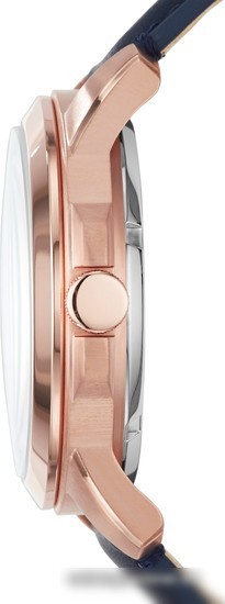 Наручные часы Fossil ME3102