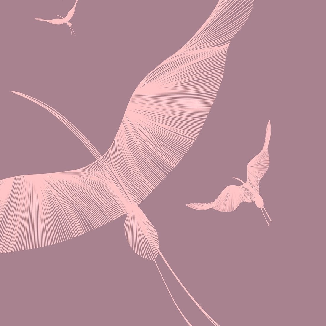 Фотообои Citydecor Perfect Lines 10 200x260