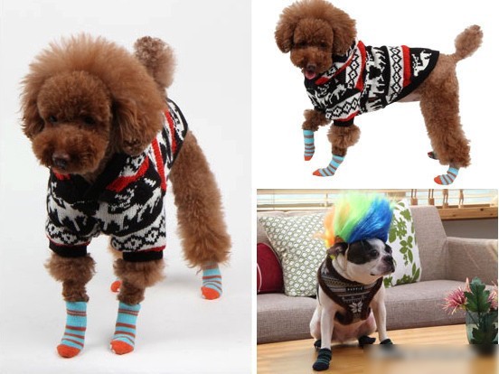 Носочки для животных Puppia Polka Dot II PAOC-SO1269-SB-S (голубой)