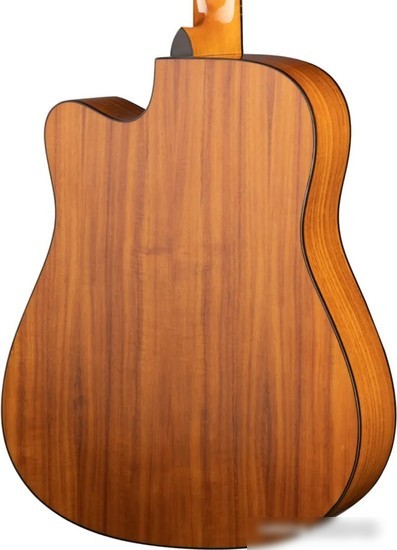 Акустическая гитара Ramis RA-G02C