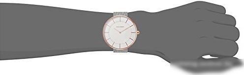 Наручные часы Skagen SKW2583