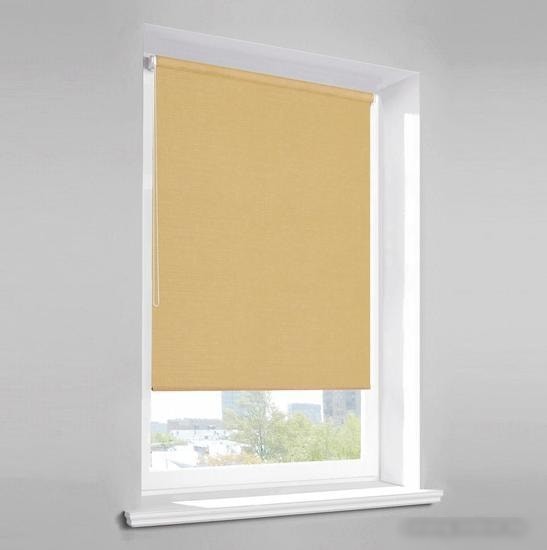 Рулонные шторы Lm Decor Лайт LM 30-07С 38x160