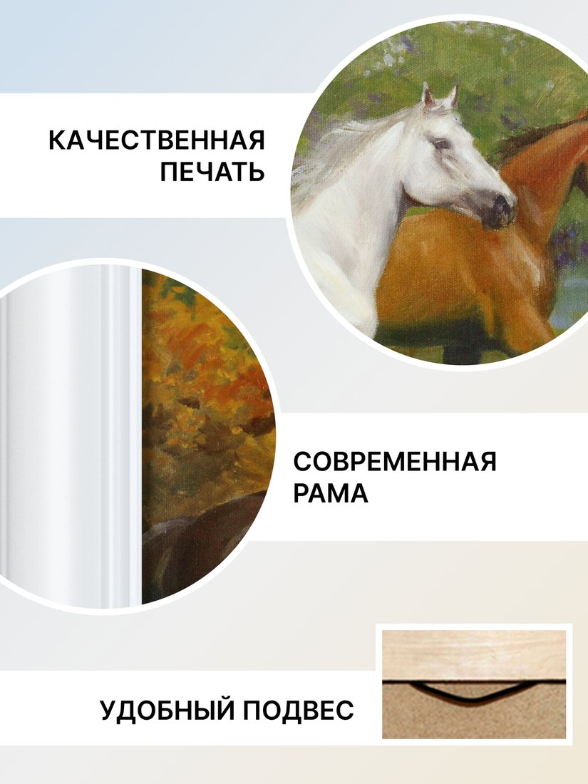 Картина Декарт 8Л4165