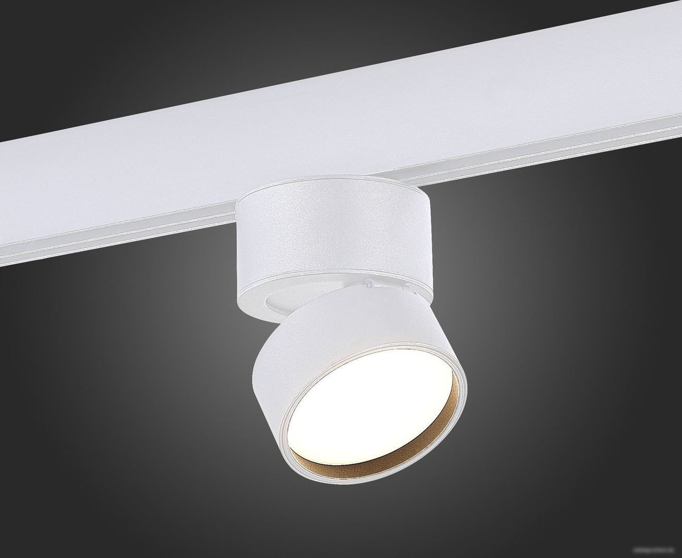 Трековый светильник ST Luce SKYLine 48 ST809.536.09