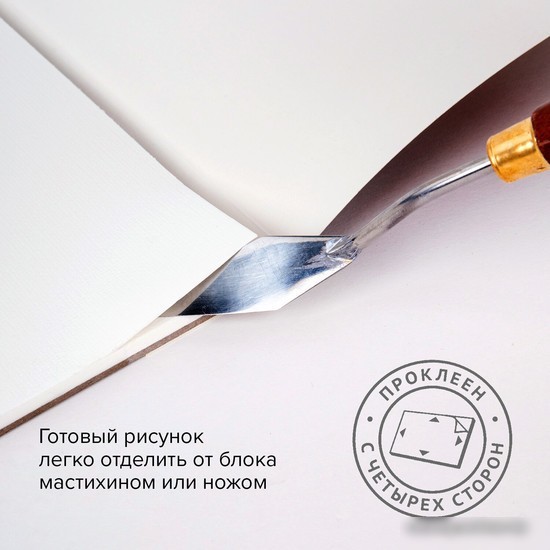 Альбом для рисования BRAUBERG Art Premiere 113268 (10 л)