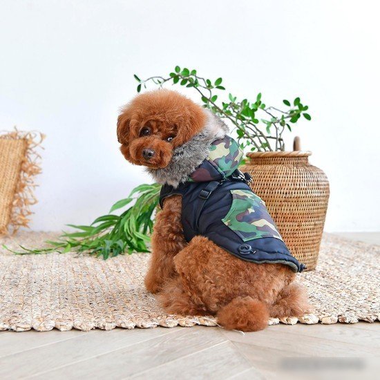 Жилетка для животных Puppia Orson PARD-VT1569-BK-L (черный)