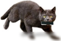 USB Flash Transcend JetFlash 780 32 Гб (TS32GJF780)