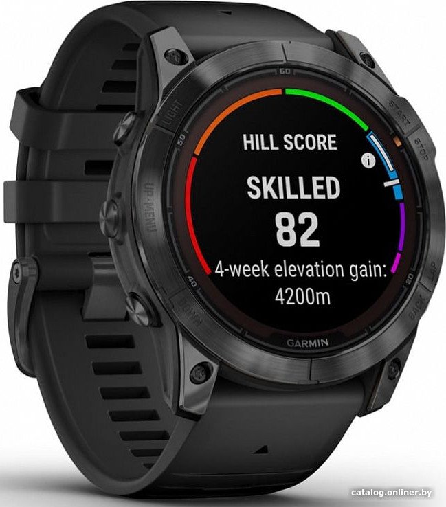 Умные часы Garmin Fenix 7 Pro Solar (сланцево-серый/черный)