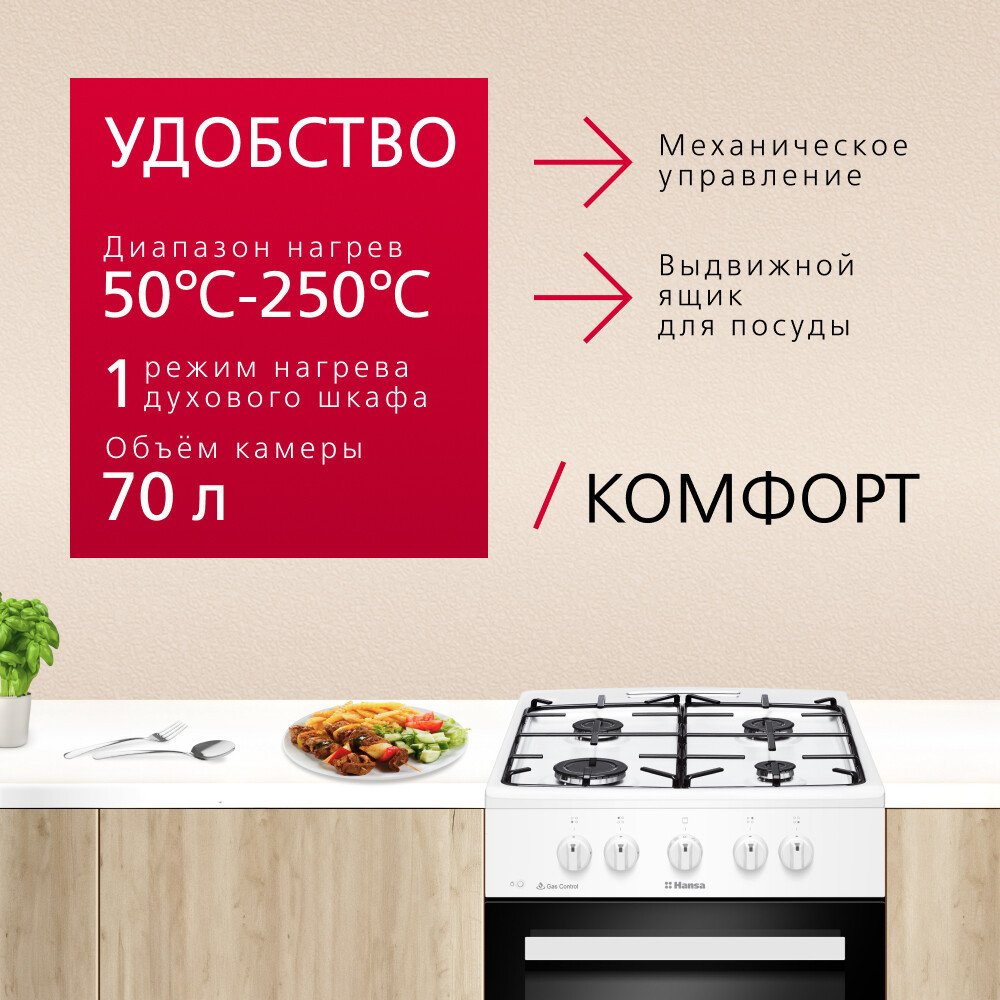 Кухонная плита Hansa FCGW510009H