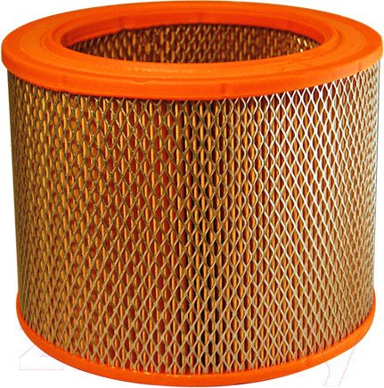 Воздушный фильтр Filtron AM463 Воздушный фильтр Filtron AM463