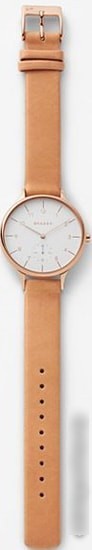 Наручные часы Skagen SKW2405