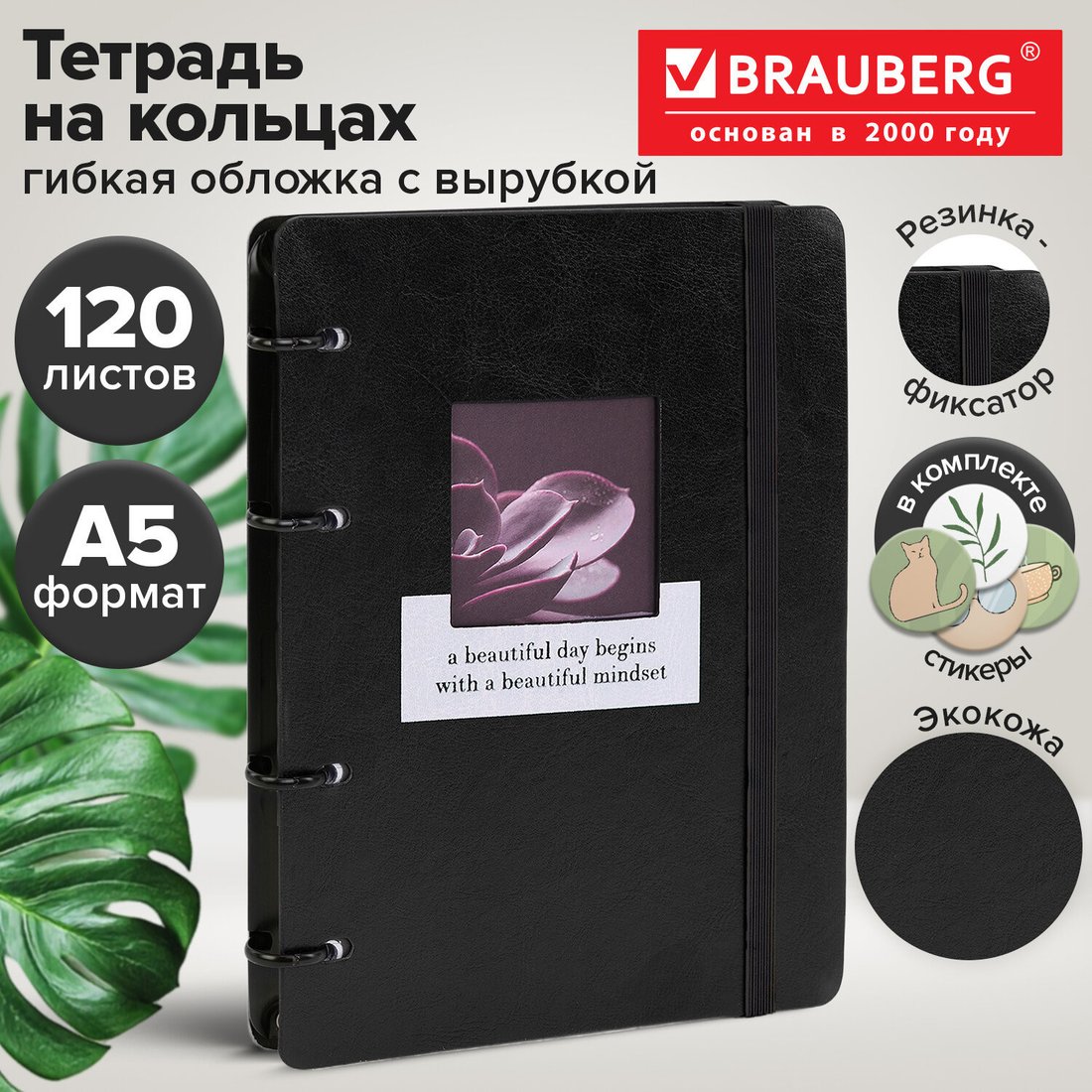 Общая тетрадь BRAUBERG Rhythm. Природа 405230 (120л)