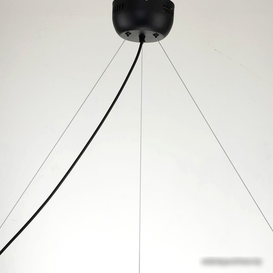 Подвесная люстра Favourite Light Point 2997-9P