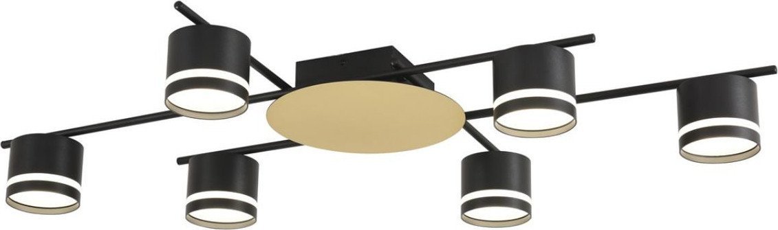 Припотолочная люстра Lumion Benua 8304/6C