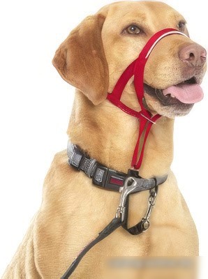 Недоуздок Halti Headcollar 11440B (Size 4, красный)