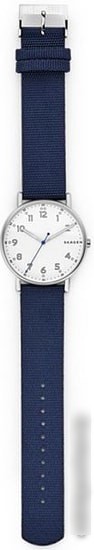 Наручные часы Skagen SKW6356