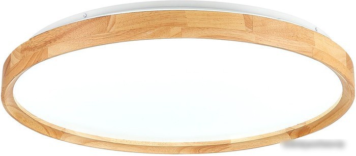 Светильник-тарелка Evoluce Delia SLE201382-01