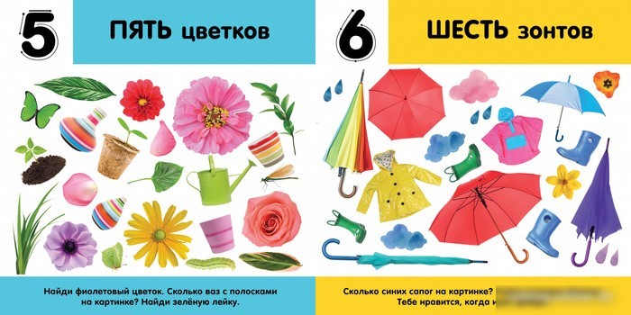 Книга издательства Clever. Первые знания. Фотокниги. Цифры