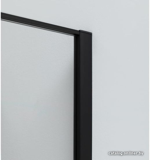 Душевая дверь Allen Brau Priority 3.31027.BBA 294056 (черный браш)