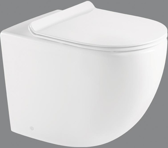 Унитаз BelBagno Sfera-R BB2141CBR