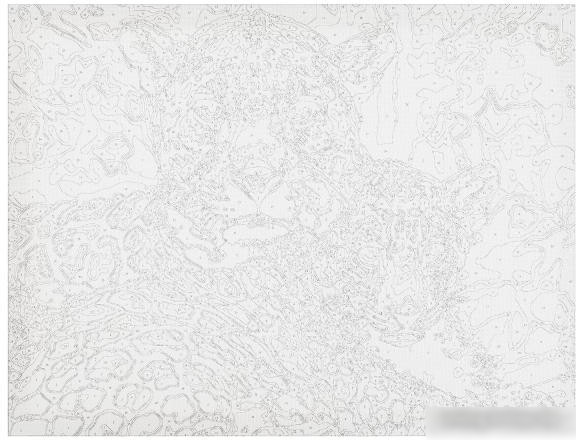 Картина по номерам MultiArt Леопарды CANV30X40-MULTI46
