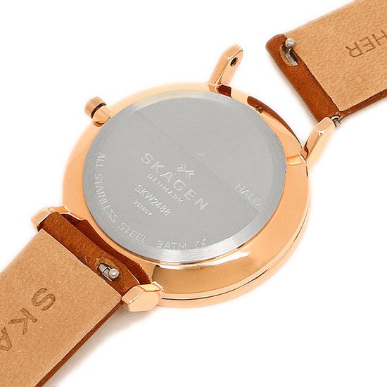 Наручные часы Skagen SKW2488