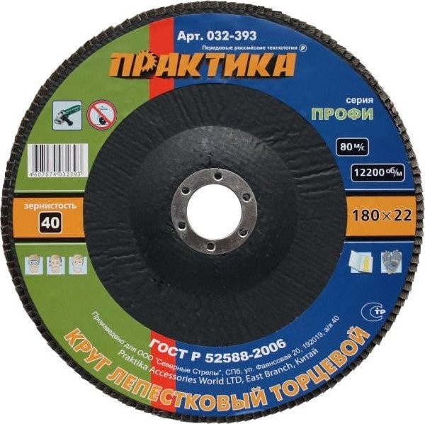 Шлифовальный круг Практика Профи 032-393