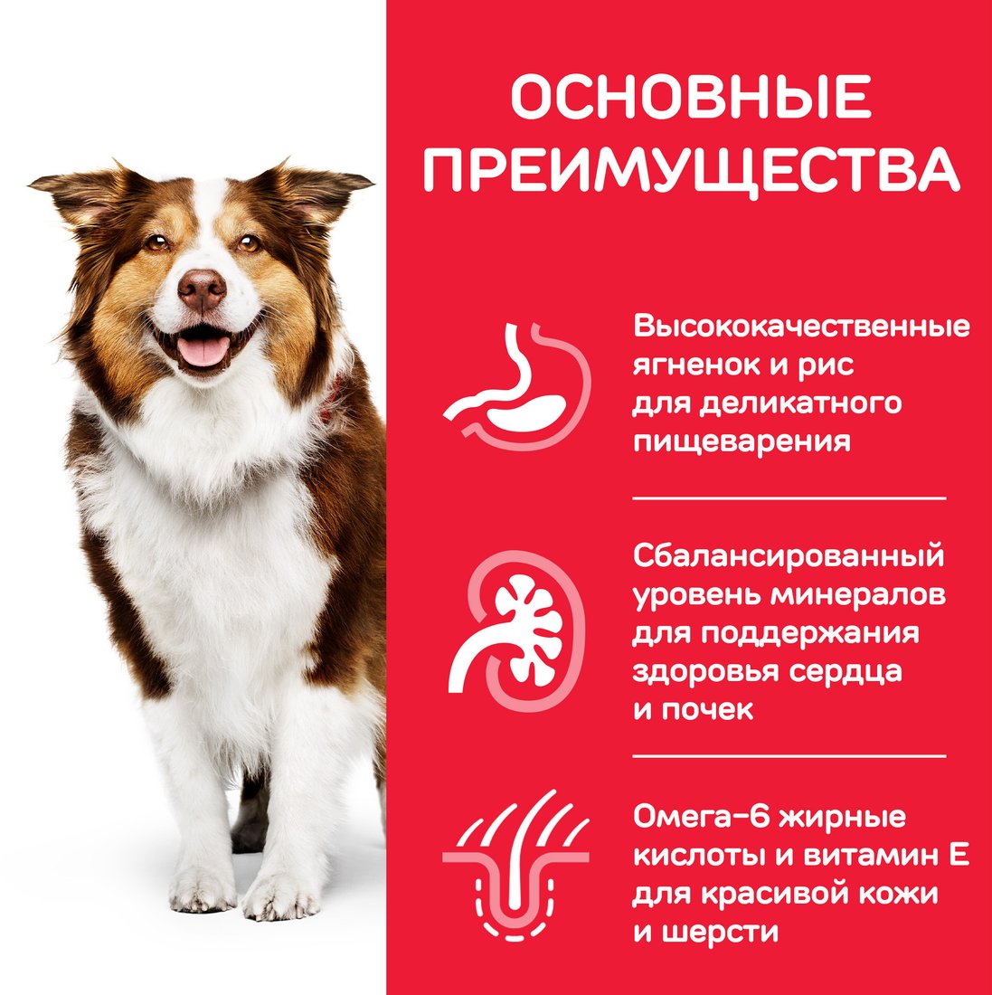Сухой корм для собак Hill's SP для пожилых собак средних пород с ягненком и рисом