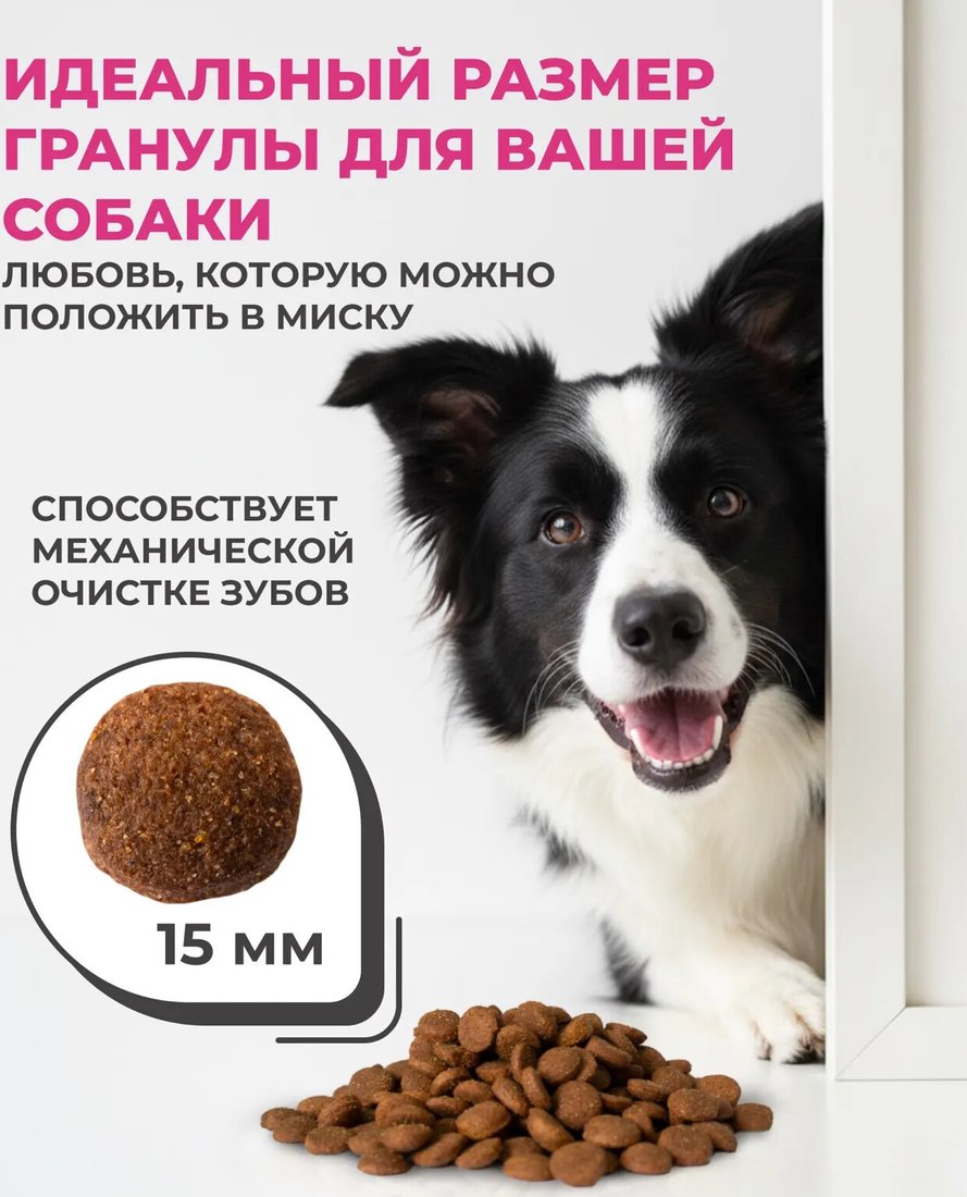 Сухой корм для собак Wins Для средних и крупных пород с ягненком 4кг