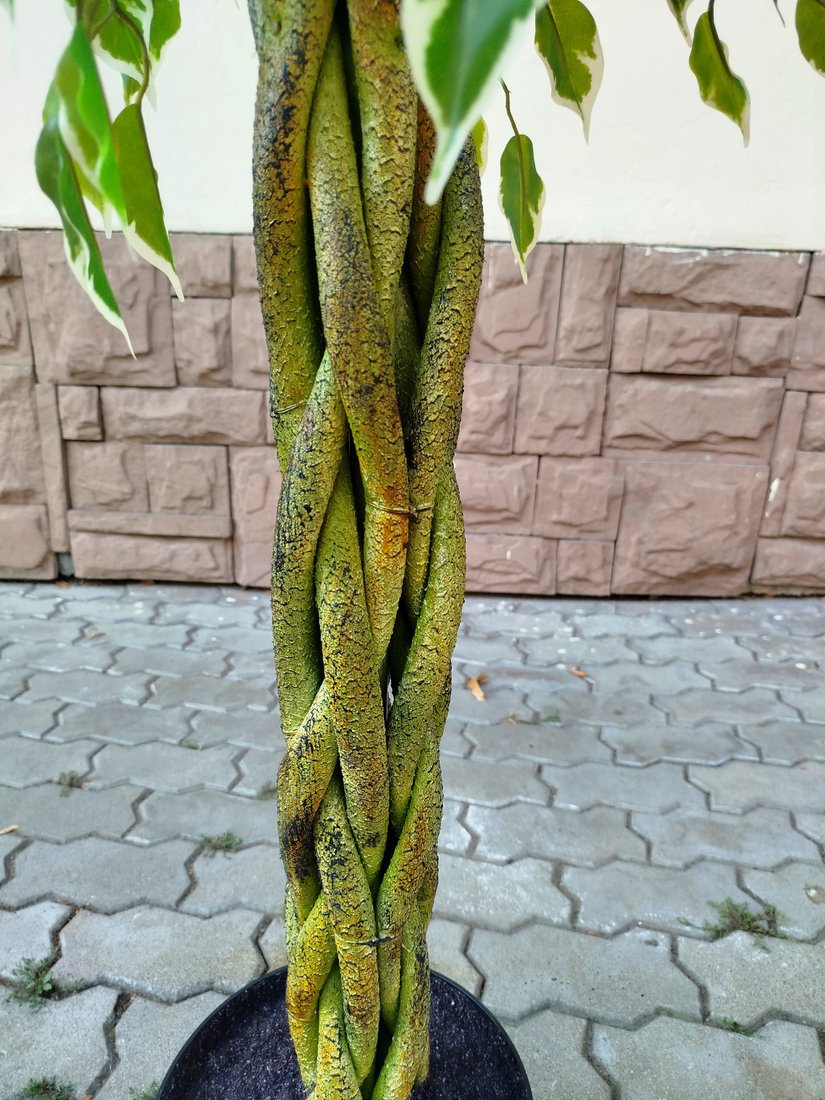 Искусственное растение Forgarden Ficus Woven Trunk BN11275