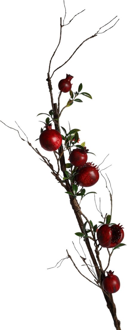 Искусственное растение Poetry in flowers Ветка граната 10970129