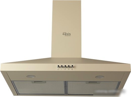 Кухонная вытяжка Oasis KB-60I (FR)