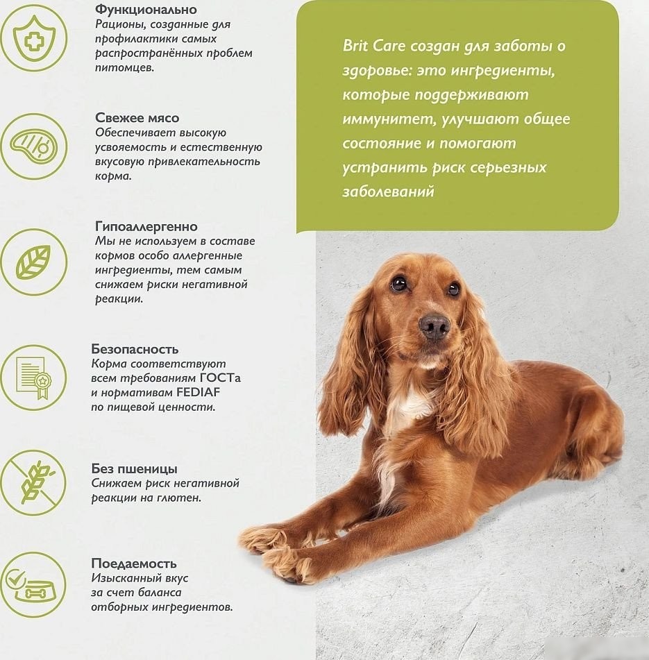 Сухой корм для собак Brit Care Dog Adult Medium Healthy Skin&Shiny Coat 3 кг