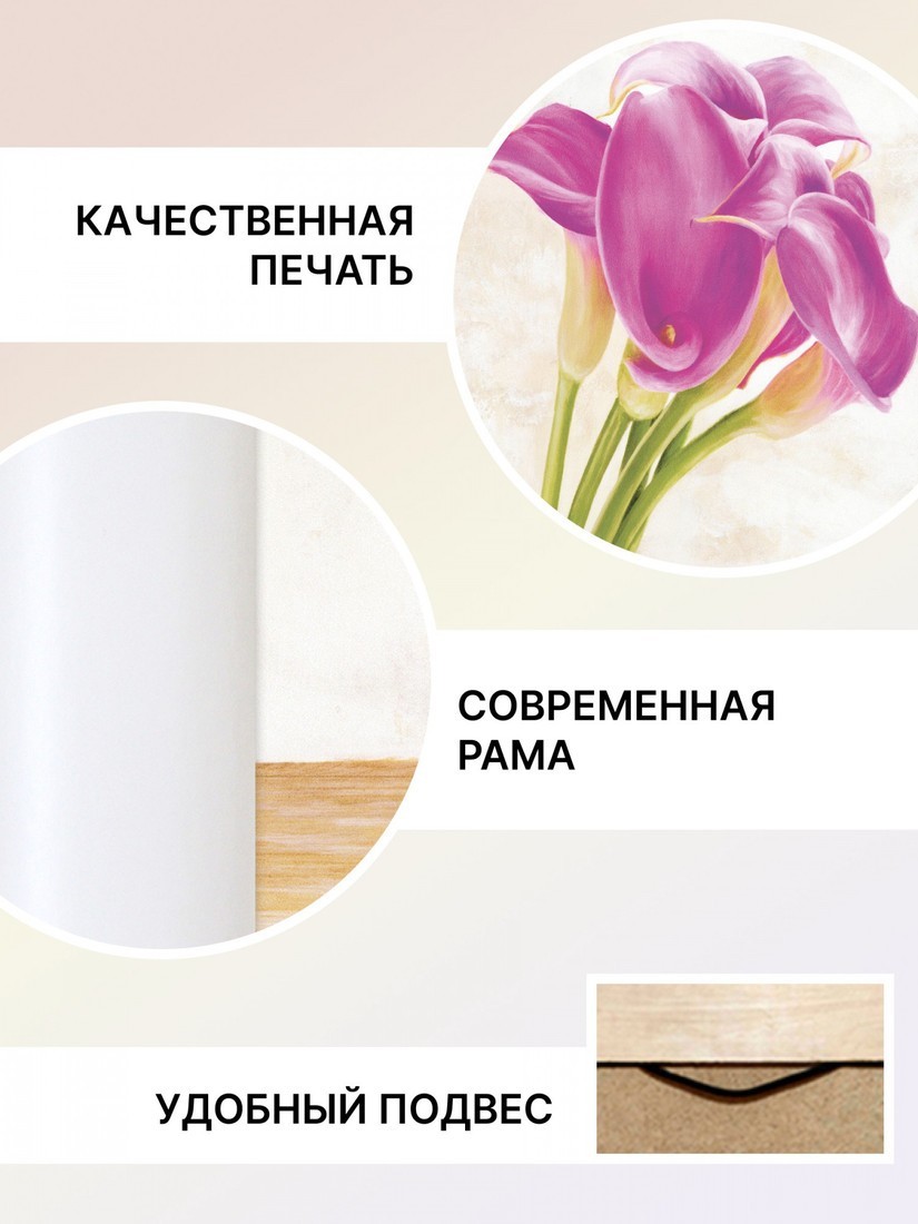 Картина Декарт 8Л0958