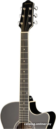 Акустическая гитара Naranda DG220CBK