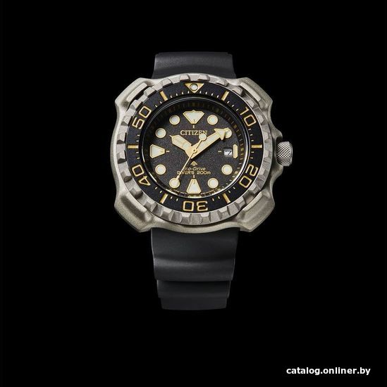 Наручные часы Citizen Promaster BN0220-16E